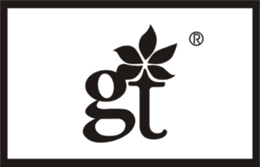 GT(两个字母，稀缺商标)